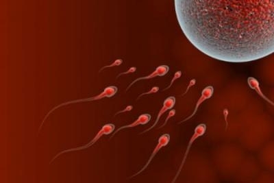 Spermogram i spermokultura 